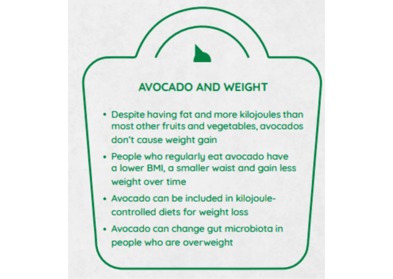 avocado-blog